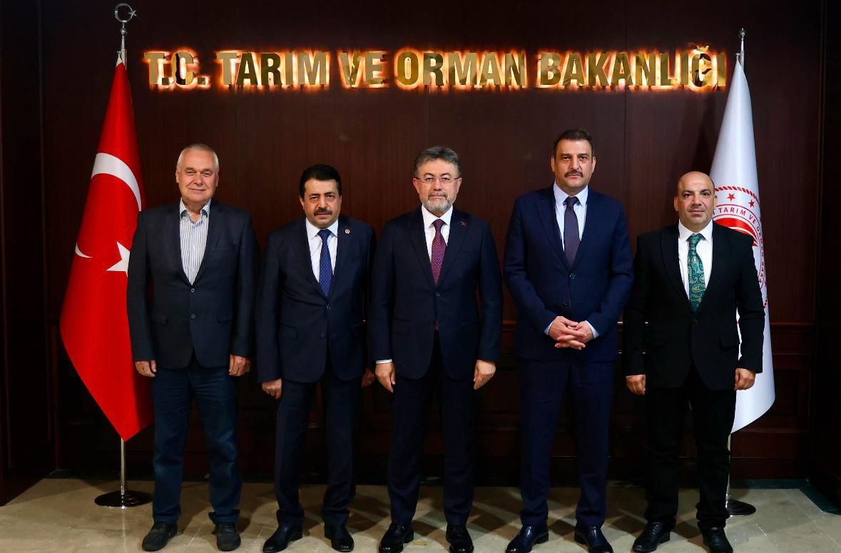 Bursa’nın Köylerine Emsal Karar: Hürriyet Köyü’nde Hukuki Zafer, Mülkiyet Tartışması Sürüyor