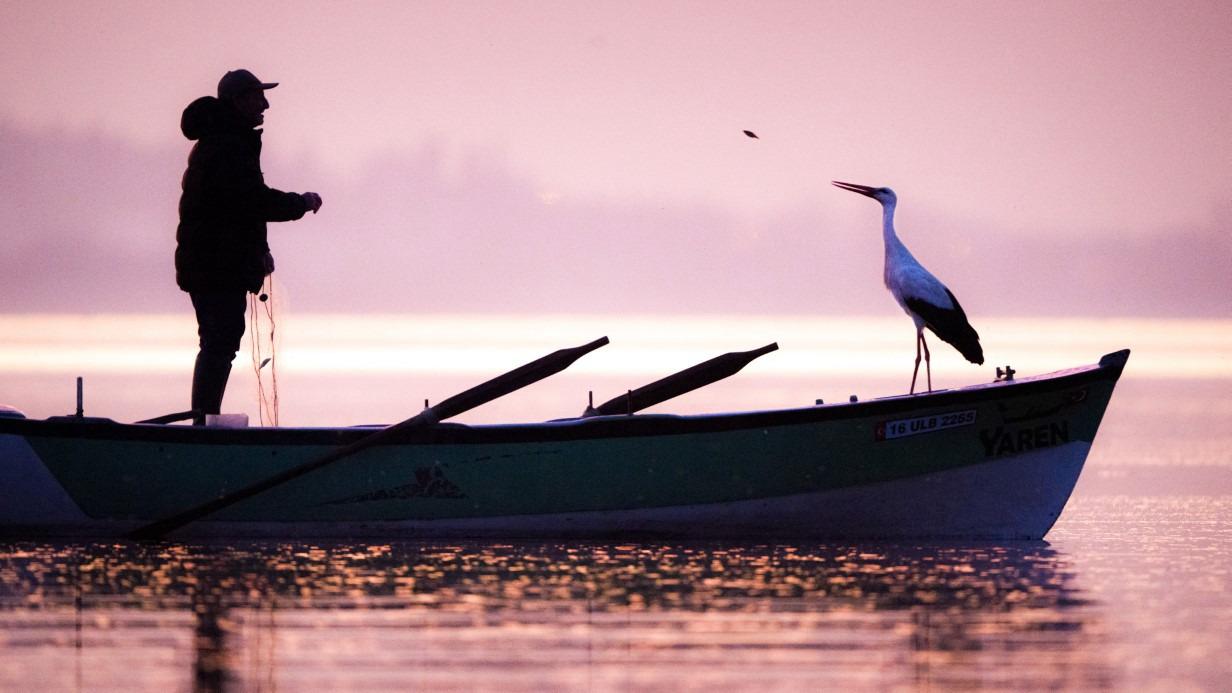 ‘Bursa Leylek Şenliği’ başlıyor