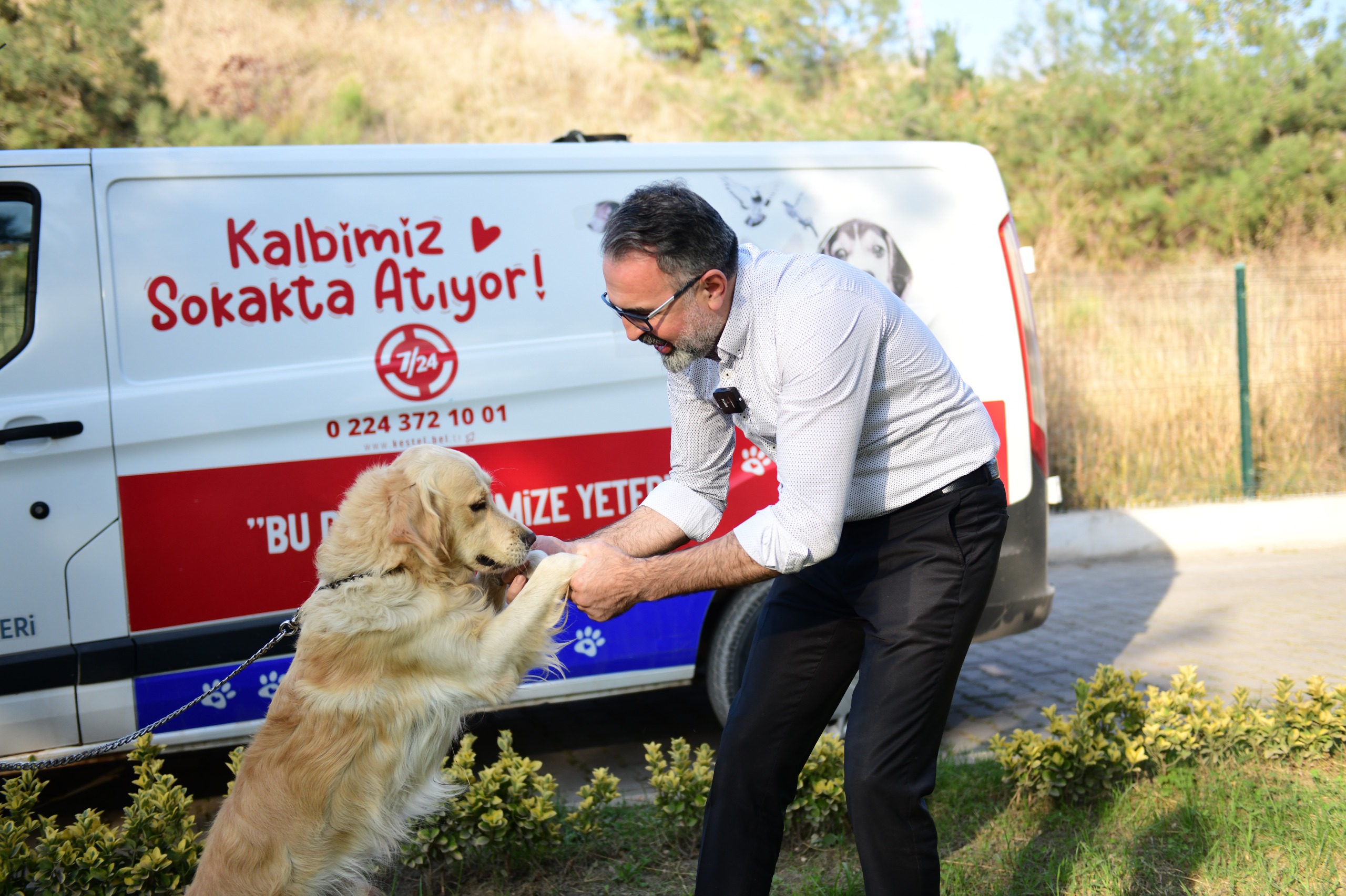 Bir tıkla yuva: Kestel Belediyesi ile sahiplenme artık daha kolay