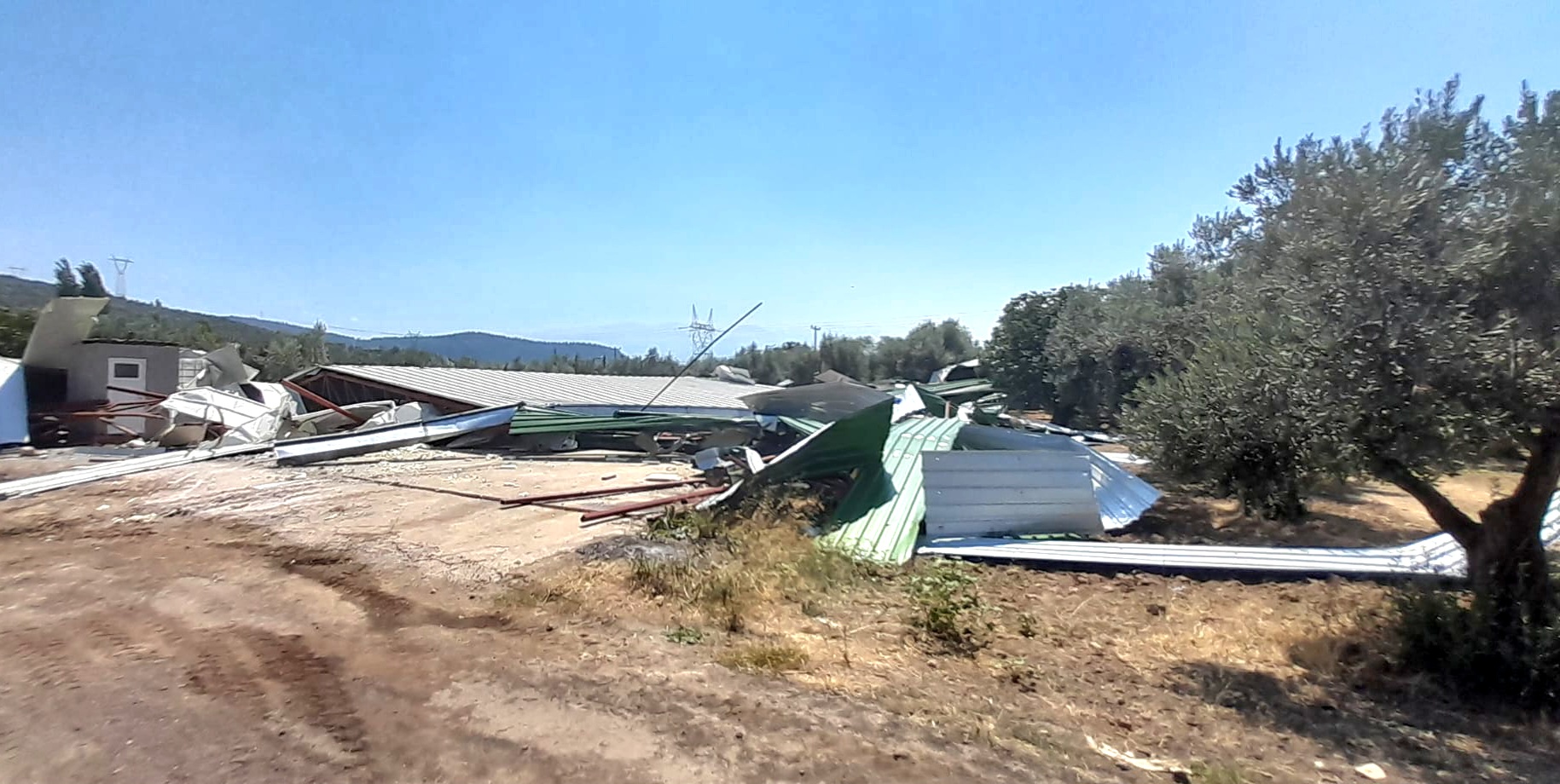 Osmangazi’de Zeytinliğe Yapılan Kaçak Depoya İzin Yok